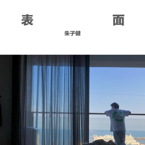 表面1.0