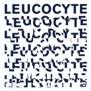 Premonition II. Contorted