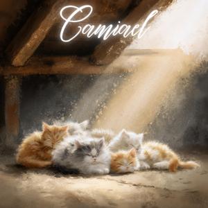 고양이 다락방의 오후(Afternoon in the Cat Attic)