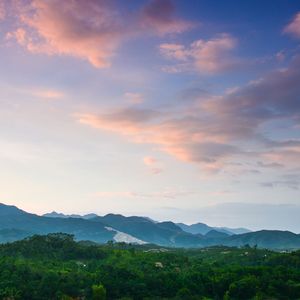 长不大的杭9