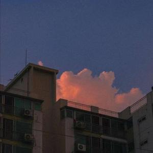 言爱