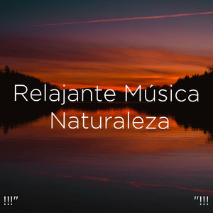 수면을위한 바다의 소리