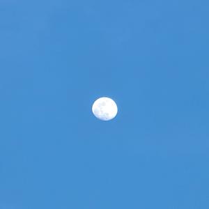 为远行所作的诗