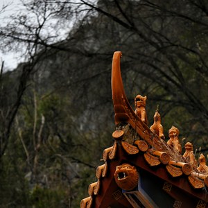 调养脾胃 提升精气