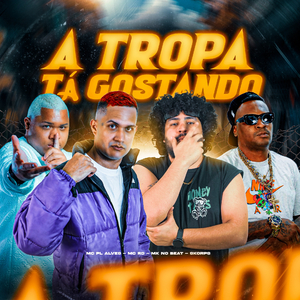 A TROPA TÁ GOSTANDO