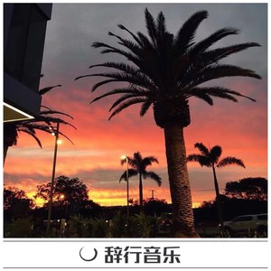 8D极品环绕纯电音