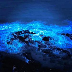 Jimjit Sheher_宁静的城市