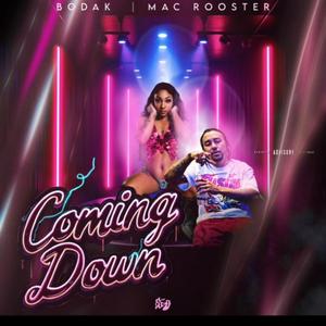 Coming Down (feat. Bodak Bry)