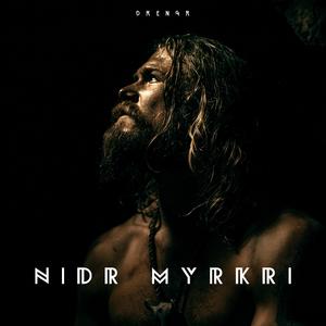 Niðr Í Myrkrið (Down into the Dark)
