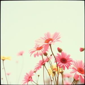 바람처럼 스쳐가는