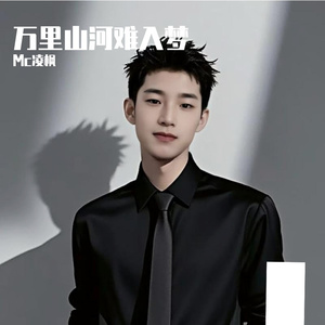 万里山河难入梦