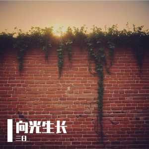 向光生长