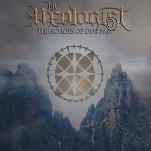 The Bee (Amorphis cover)