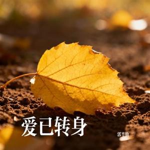 爱已转身