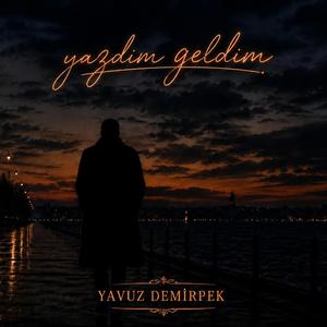 YAZDIM GELDİM(THM)