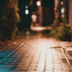 独自空等我怕你会不知