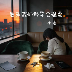 后来我们都学会温柔