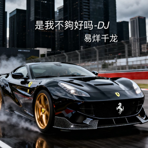 是我不夠好吗-DJ