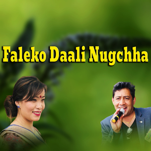 Faleko Daali Nugchha
