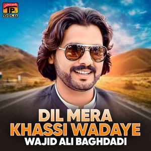 Sajran De Shaher Wanjna Ae