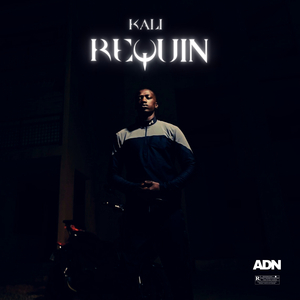 Requin