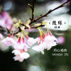 第三乐章 何年何月