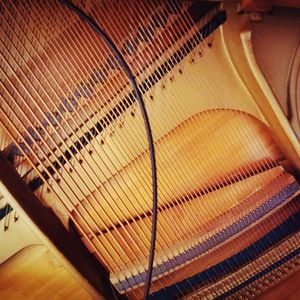 Love Theme 爱的主题