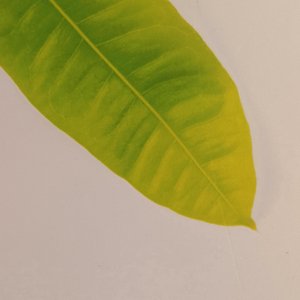 洗衣歌