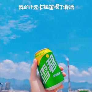 我的十元卡祖笛喝了假酒