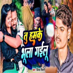 Tu Hamke Bhula Gailu