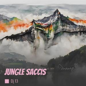 Jungle Saccis (Remix)