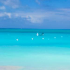 Feel In Love (Extend Version)