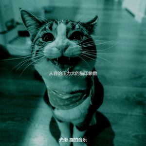精彩小猫环境