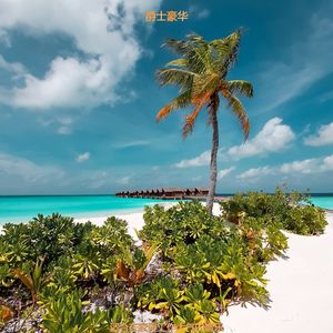 适合办公室工作时髦的音乐