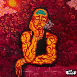 LAVA