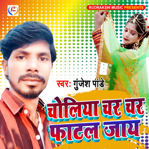 Choliya Char Char Phatal Jay