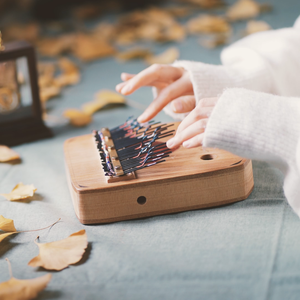 哈利波特主题曲（Hedwig's Theme）卡林巴琴/拇指琴