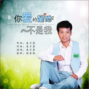 你爱的是他不是我