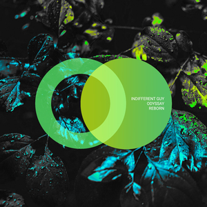 Reborn (Original Mix)