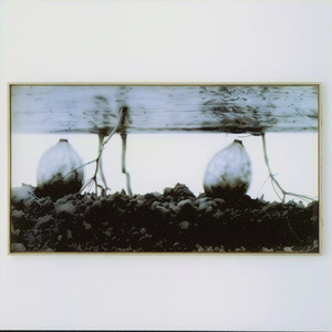 I Can't Keep My Cool (feat. 서사무엘)