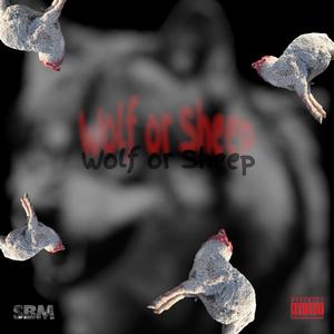 Wolf Or Sheep