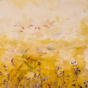 Nonesense (Psalms my Guard)