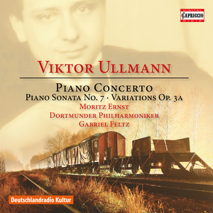 Piano Concerto, Op. 25: I. Allegro con fuoco