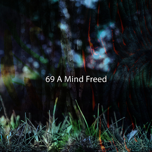 令人惊叹的水疗音乐