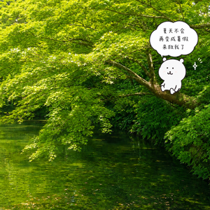 夏天不会再变成暑假来救我了