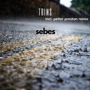 Trims (Petter Preston Remix)