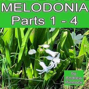 Melodonia, Pt. 1