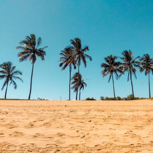 老照片的回忆（助眠音乐）