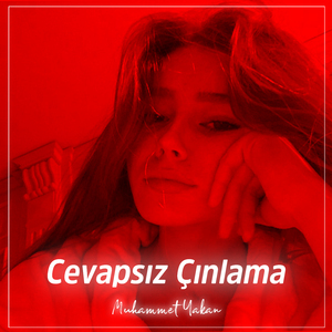 Cevapsız Çınlama