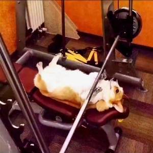 EZRA-扣扣不见了